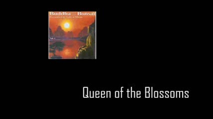 Оливър Шанти - Буда и Бонзай Vol.1 - кралица на цветовете 