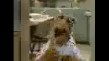 Alf