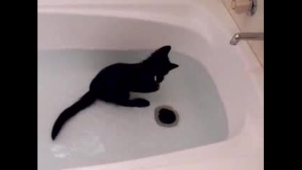 Адски тъпа котка гони водата във вана!