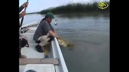 Това е рибар! 