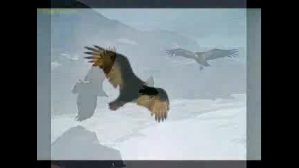 El Condor Pasa 