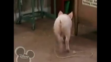 Корабните приключения на Зак и Коди сезон 1 епизод 2 Бг Аудио