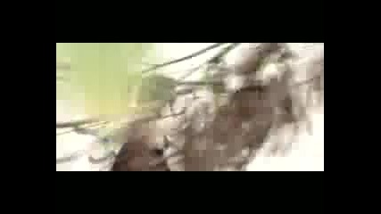 Christos Hatzinasios - Dos mou 