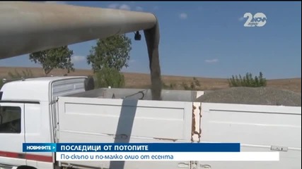 Очаква се криза за олио заради потопите - Новините на Нова