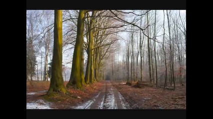 David Lanz - Before The Last Leaf Falls