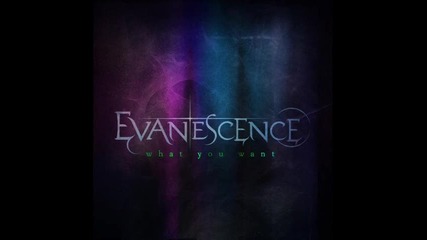 Evanescence - What You Want - 2011 (new + full song)