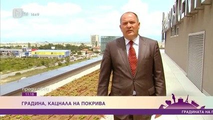 Градина, кацнала на покрива