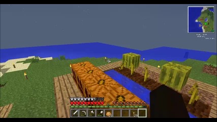 Minecraft-moeto ocelqvane