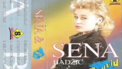 Sena Hadzic Previse