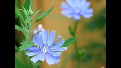 Kenny G - Youвґre Beautiful
