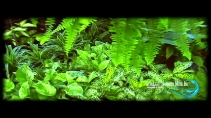 Relaxing Music - A Path To Contentment - J. Michele Bodine 