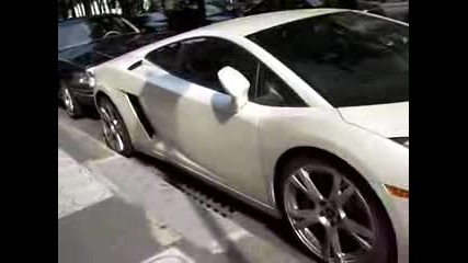 White Gallardo