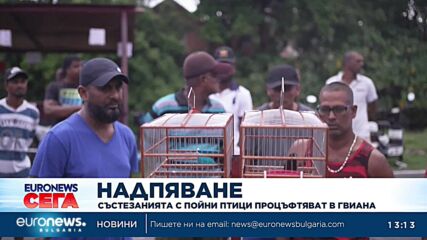 Състезанията с пойни птици процъфтяват в Гвиана