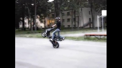 Brzoza Stunt Promo