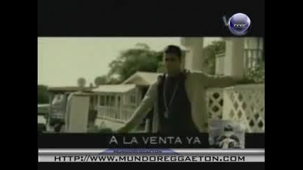 Reggaeton - Tito El Bambino - Enamorado 