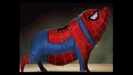 Spider Pig - Метъл Версия