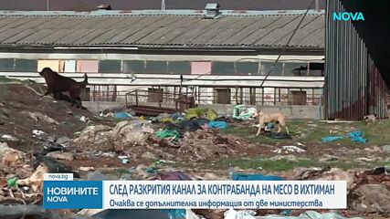 След разкритата незаконна кланица край Ихтиман: Властите обявяват нови мерки
