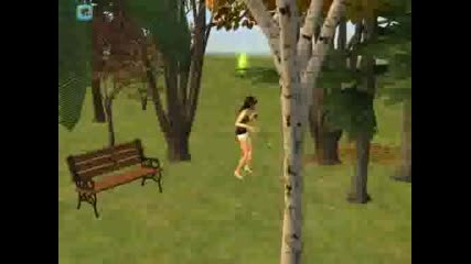 Sims