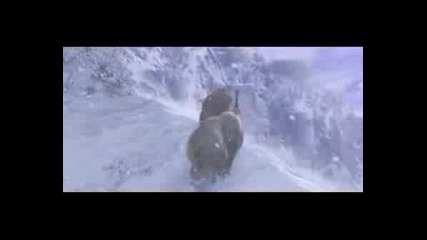 World Of Warcraft