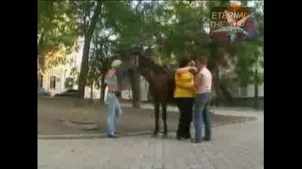 Скрита камера - качете дебеланата на коня 
