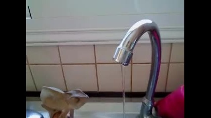 Хамелеон който си мие ръцете
