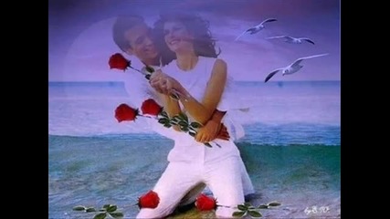 Ан Търнър-im вашата Лейди