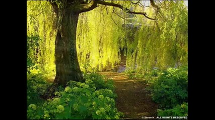 The Indian Power of Nature Orchestra - The Earth Dance 