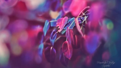 Лили Иванова - Необяснимо е