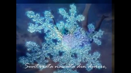 Chris Spheeris-сarino