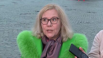 Бачева: Коледната елха в София не е опасна