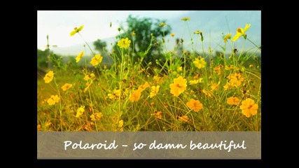 Poloroid - So Damn Beautiful [chris Coco Mix]