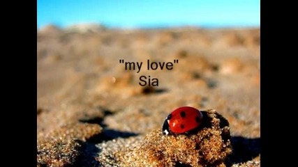 My Love by Sia (with Lyrics)