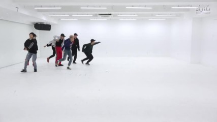 Bts '봄날 (spring Day)' Dance Practice
