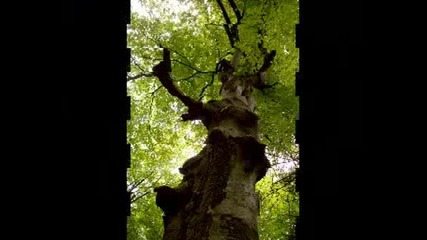 Scorpions - Does Anyone Know