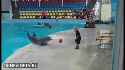 Делфин и дете си играят с топка