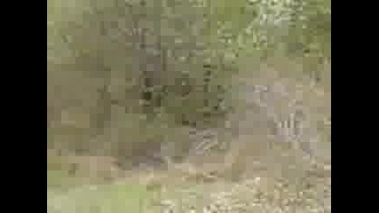 Язовец