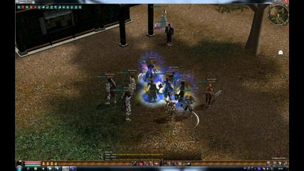 Metin2 Shaman Video 2