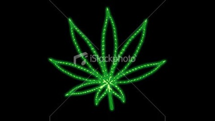 k!ngs!z3 - Ganja