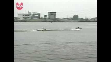 Waterskiing Monkeys