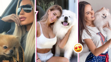 5 родни звезди, които направиха Instagram профили на своите кучета