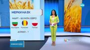 ЕК обсъжда втори пакет с помощи заради вноса на земеделска продукция от Украйна