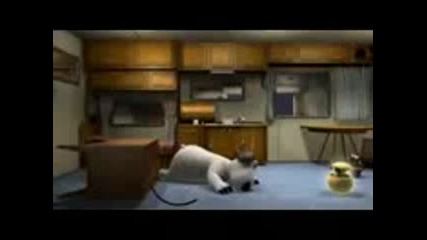 Crazy_bear