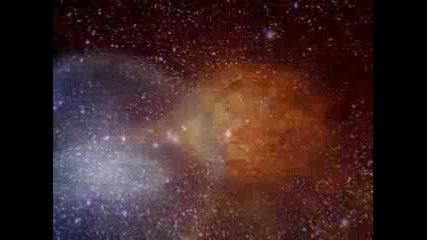 Fish - 13th Star