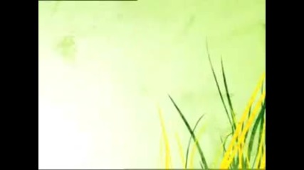 Nat Geo Wild Triumph of life