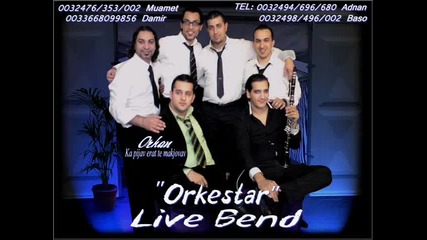 Orhan 2010 sotir kitaeca 