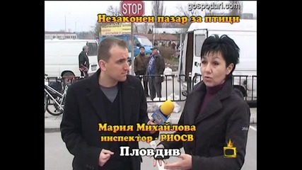 Незаконен пазар на птици 3 Господари на ефира 