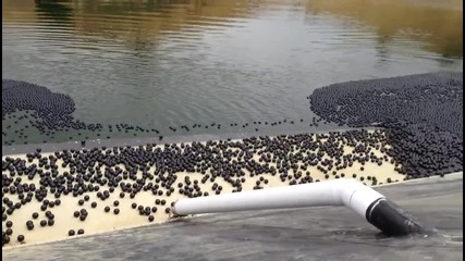 Стотици хиляди черни топки пазят питейната вода на Лос Анджелис