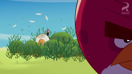 Angry Birds Toons: Gardening With Terence