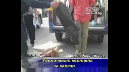 Увеличават квотата за калкан [тв Скат 19.06.09г.]