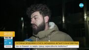 Глутница бездомни кучета нападна мъж в центъра на Благоевград